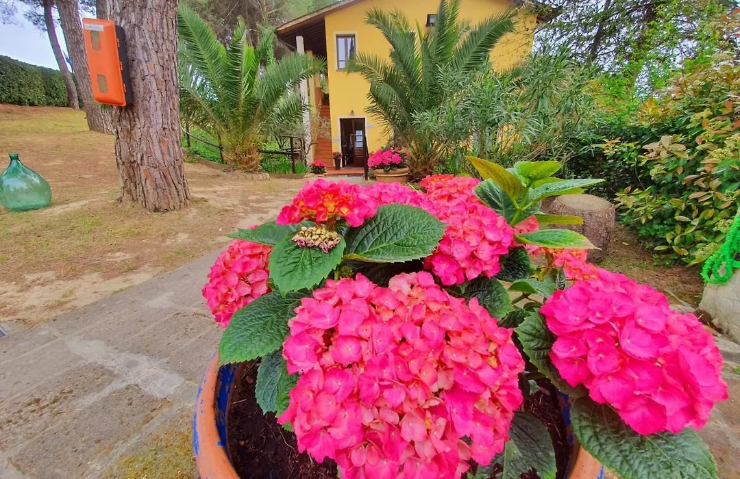 Toscana Holiday Village-1