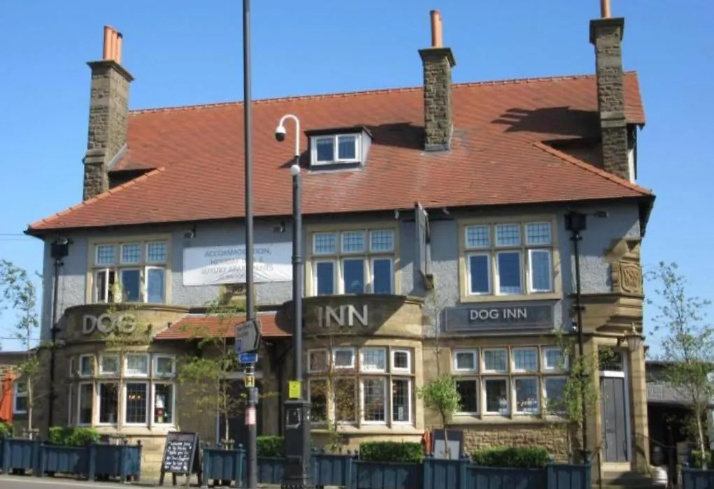 The Dog Inn-1