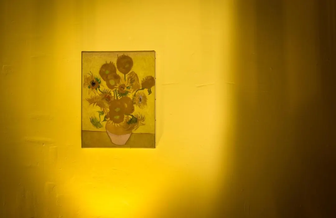 Mia Casa-1
