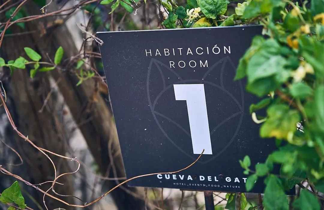 Eco Hotel Cueva Del Gato-1