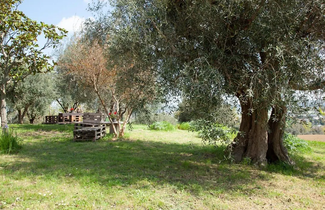 Le Piume B&B-1