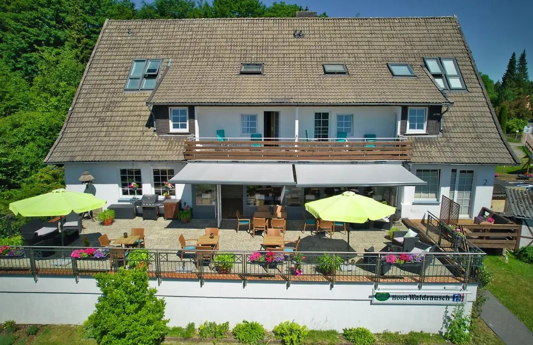 Hotel Waldrausch-1