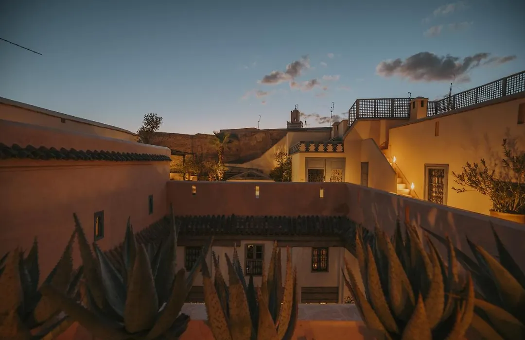 Riad Les Hirondelles Boutique Hotel And Spa-1