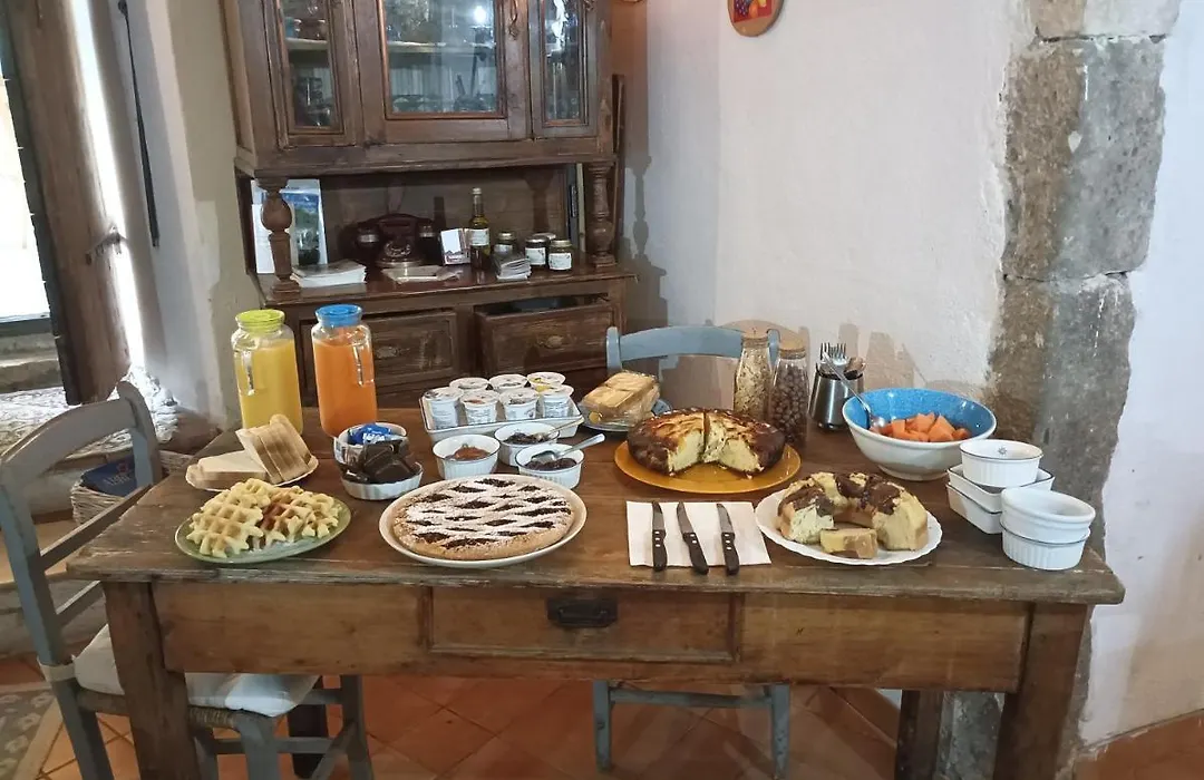 Fattoria La Tana Della Volpe-1