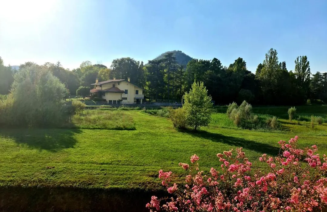 V.Home-1