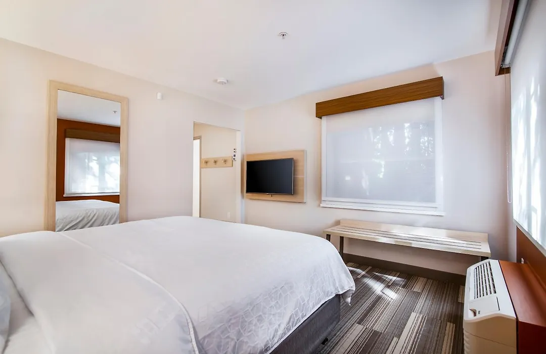 Holiday Inn Express & Suites Langley By Ihg-1