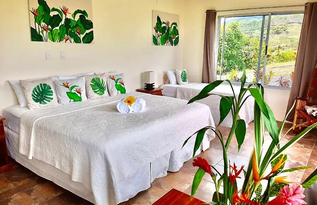 Hotel Finca 360-1