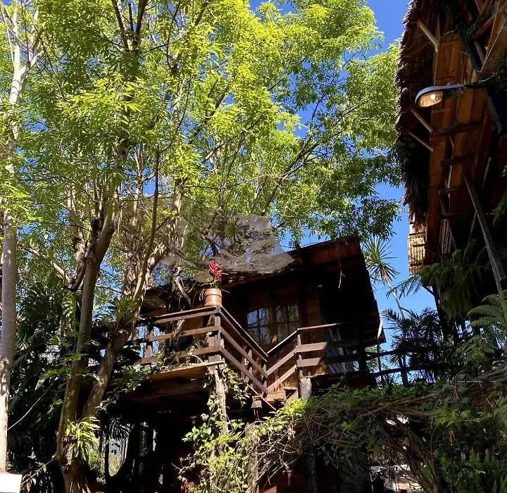 Cabaña Los Cedros-1