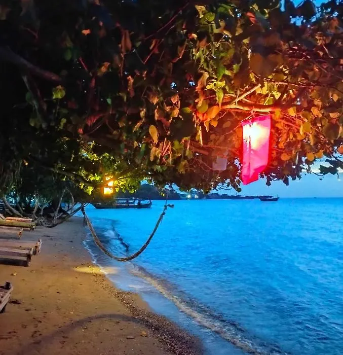 Fat Rabbit Beach Resort-1