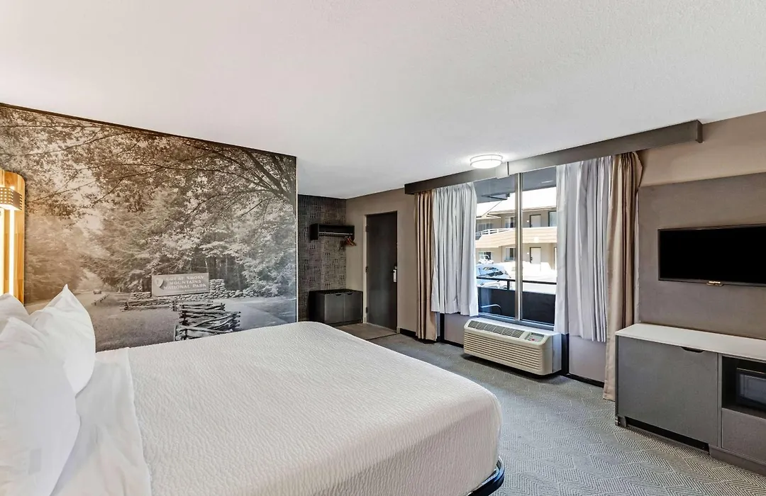 The Wander Hotel By Wyndham-1