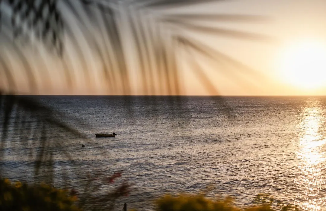 Sunset Reef St. Kitts-1