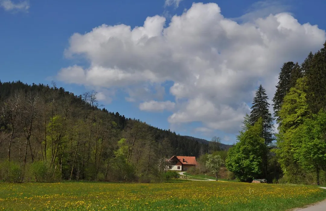 Schwarzwaldhotel Klumpp-1