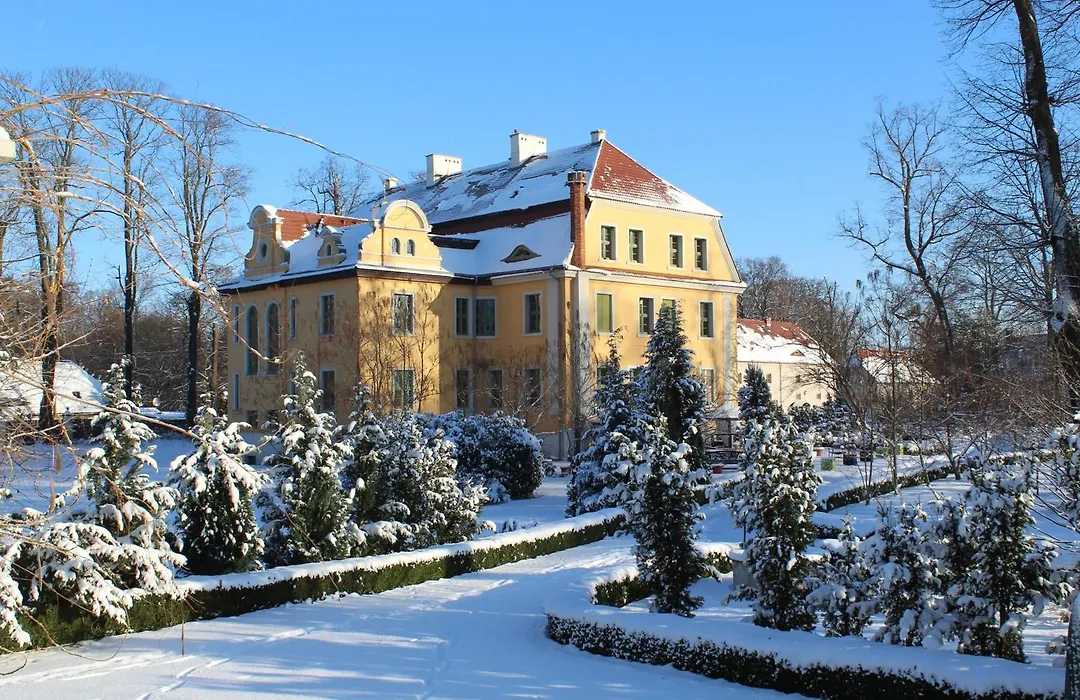 Palac Wiechlice - Hotel, Restaurant, Spa-1