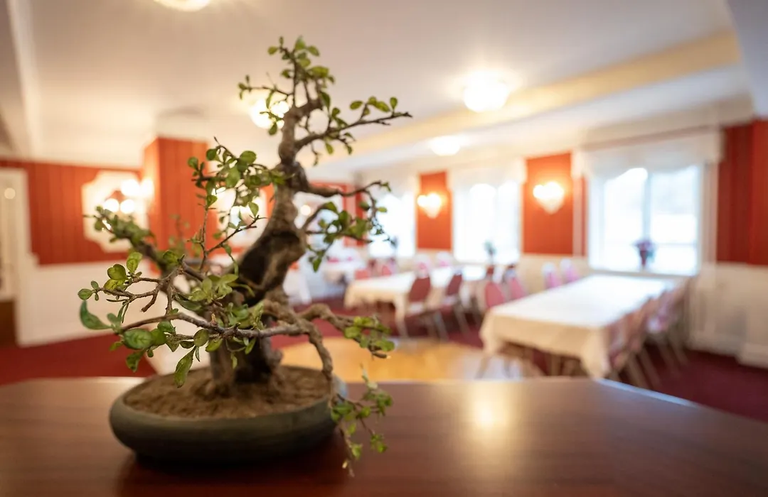 Frederiksvaerk Hotel-1