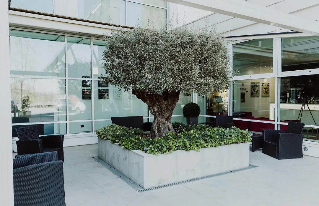 Hotel Carpi-1