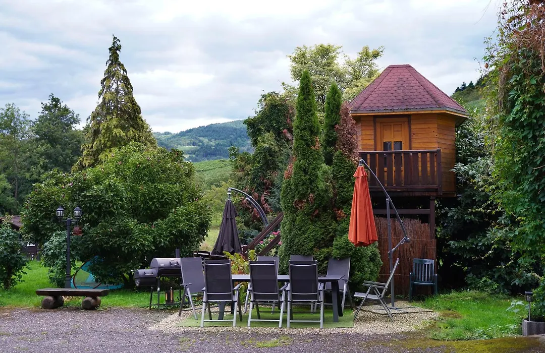 Hotel Faxe Schwarzwaelder Hof-1