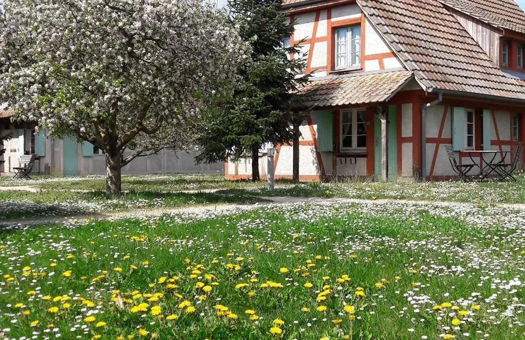 Les Loges De L'Ecomusee D'Alsace-1
