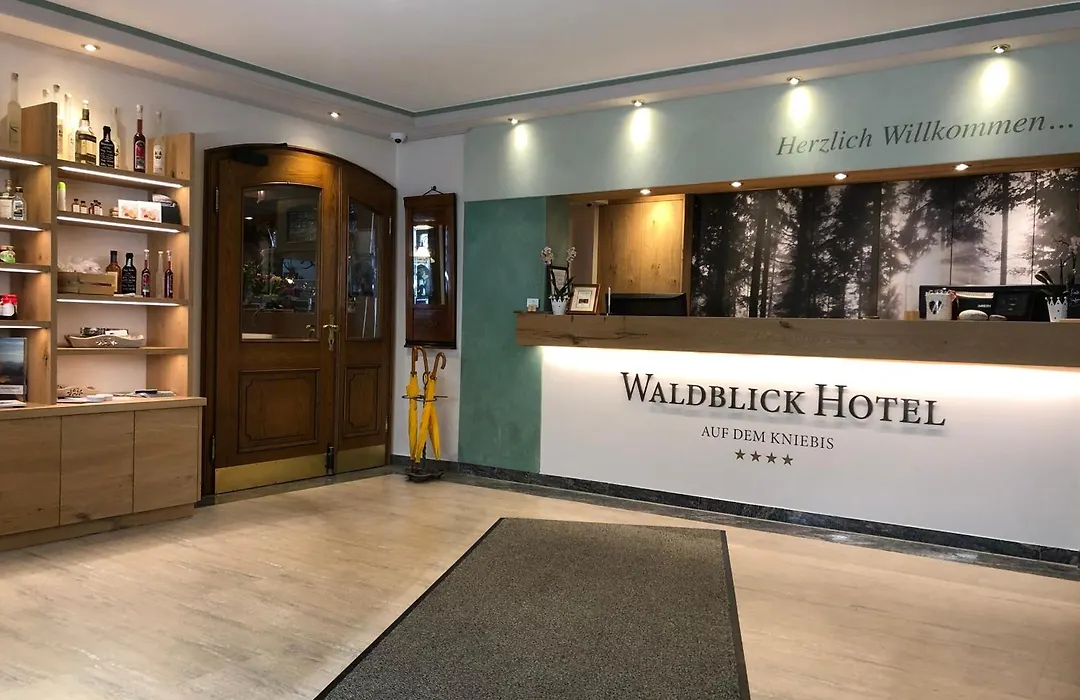 Hotel Waldblick Kniebis-1