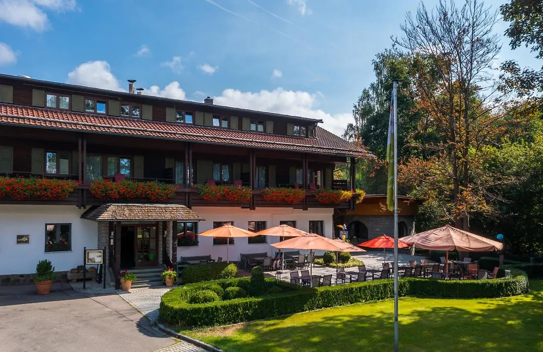 Hotel Das Bayerwald-1