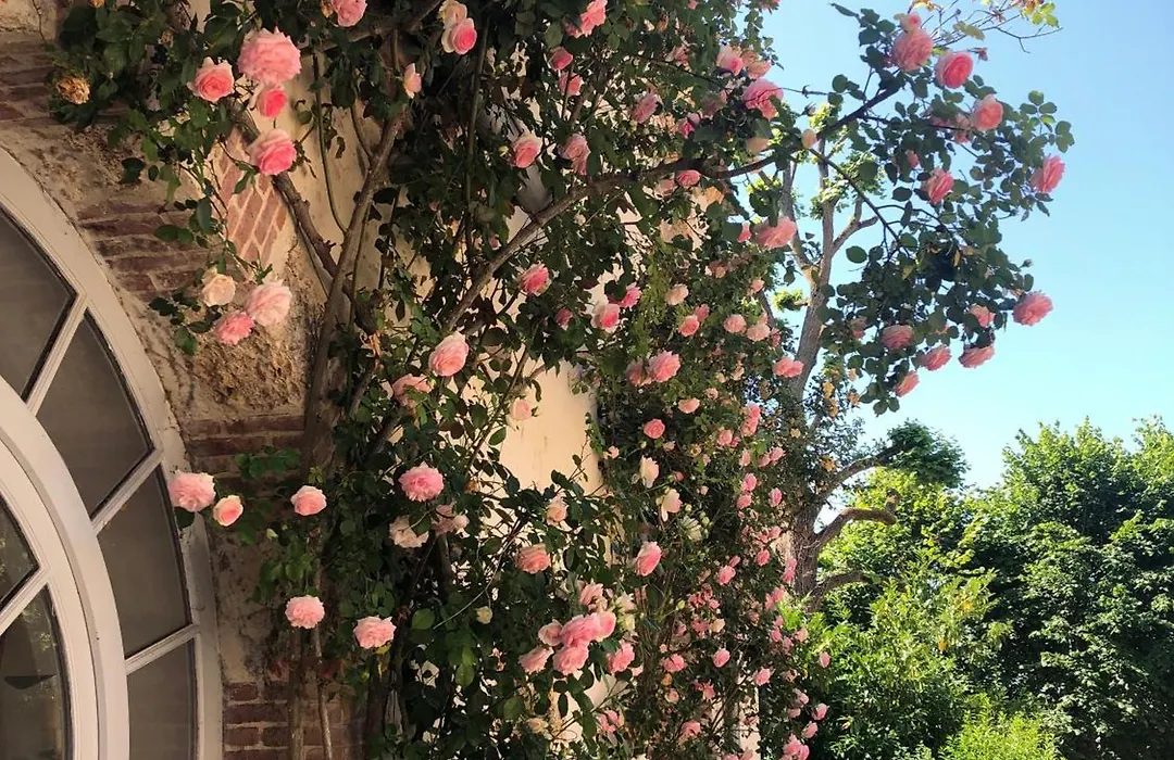 Château de la Cour Senlisse-1