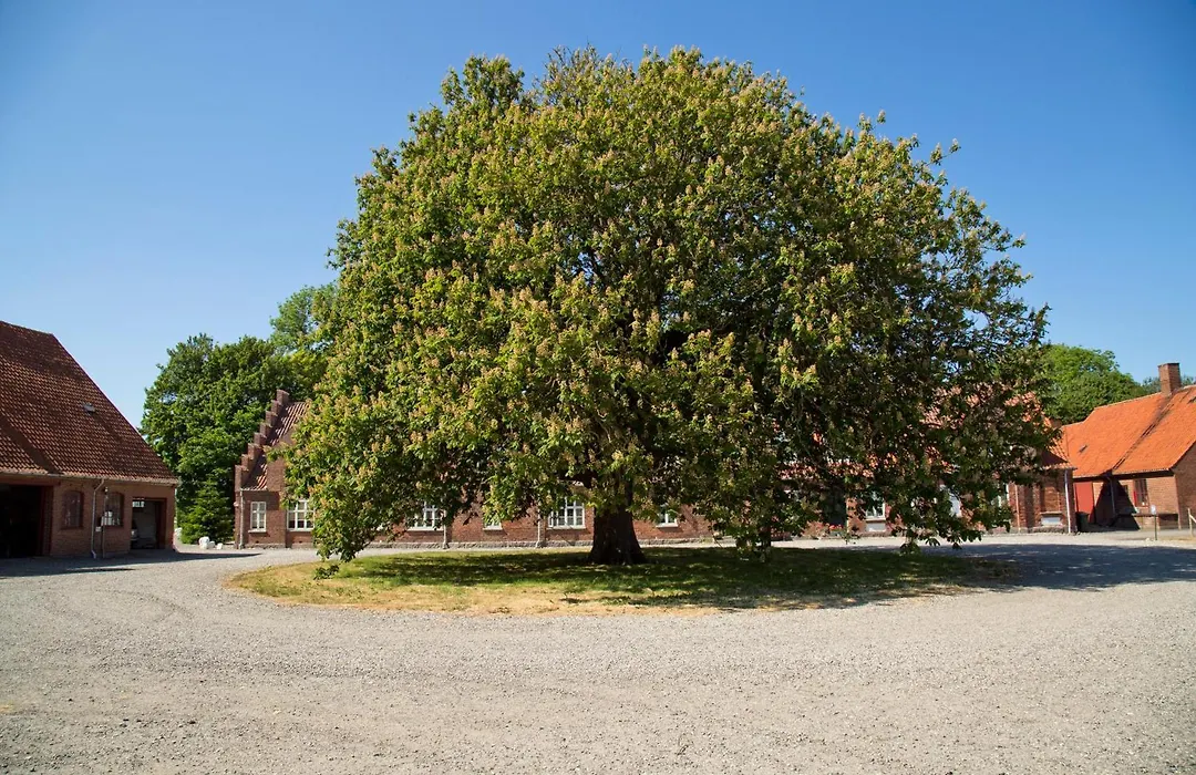 Bellinge House-1