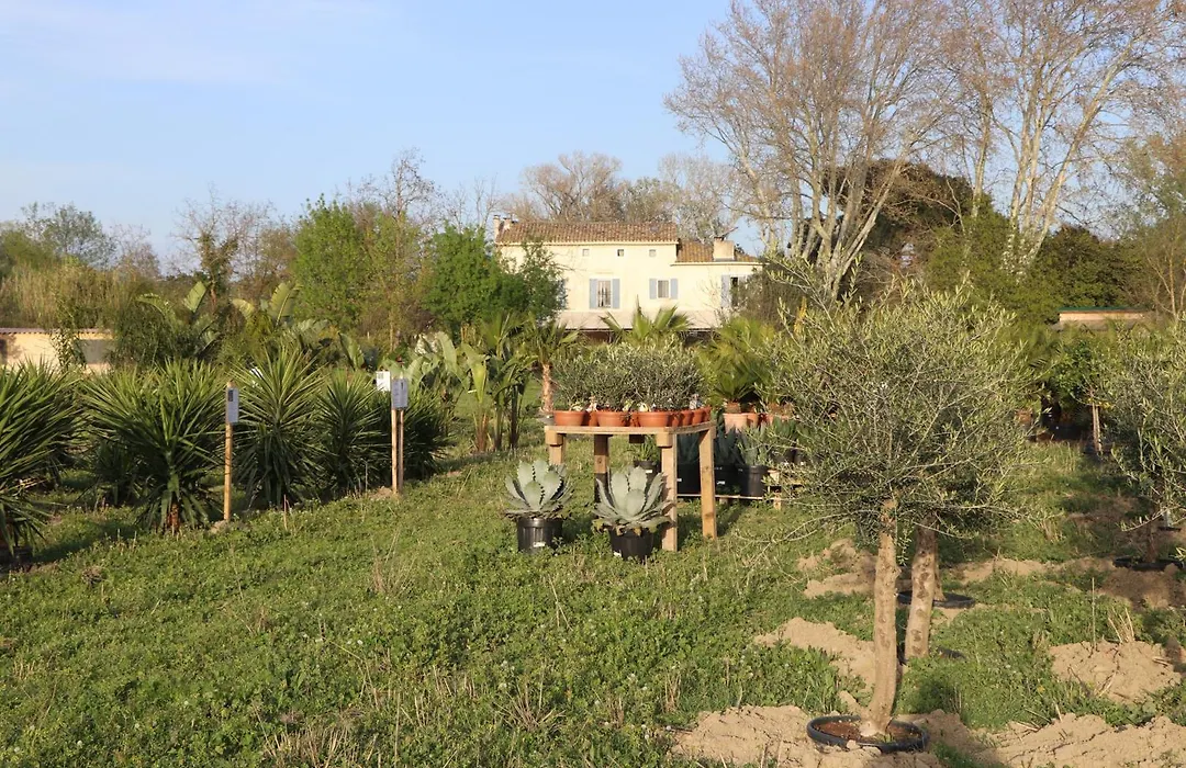 Mas des Cerisiers-1