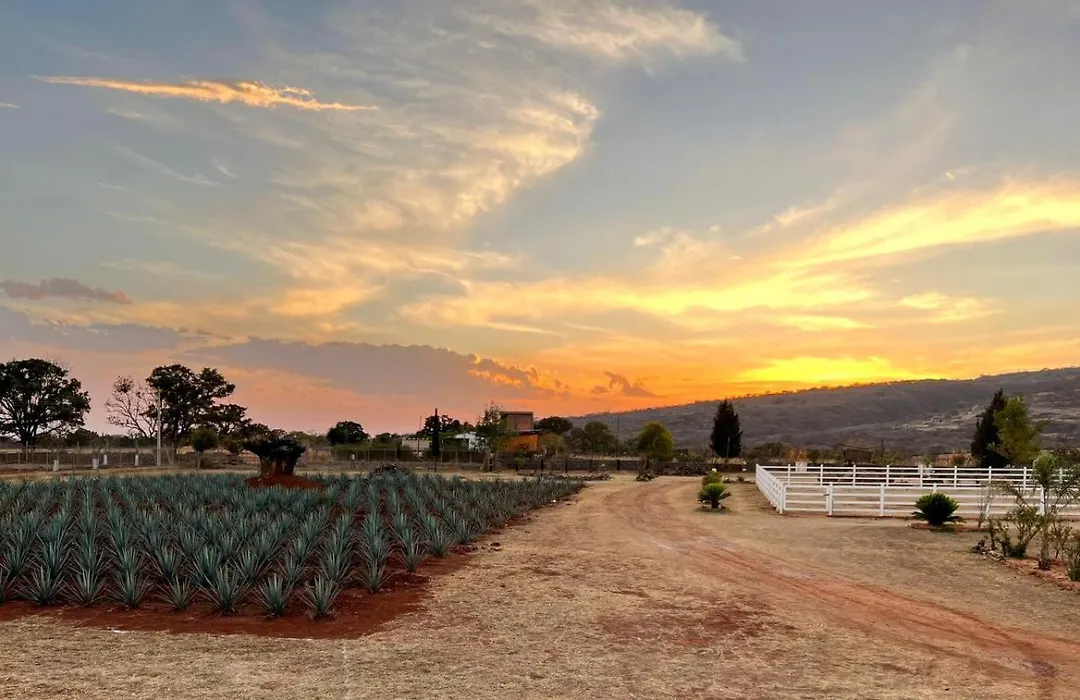 Finca el Péndulo-1