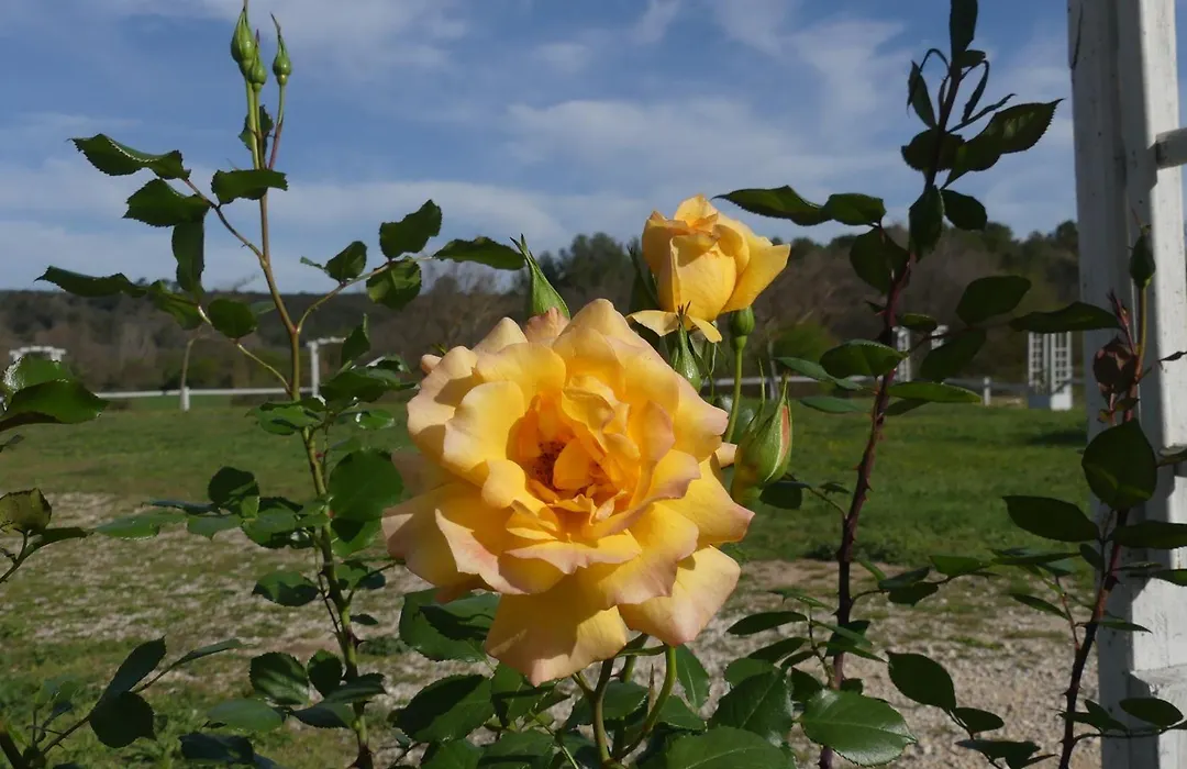 le domaine des sources-1