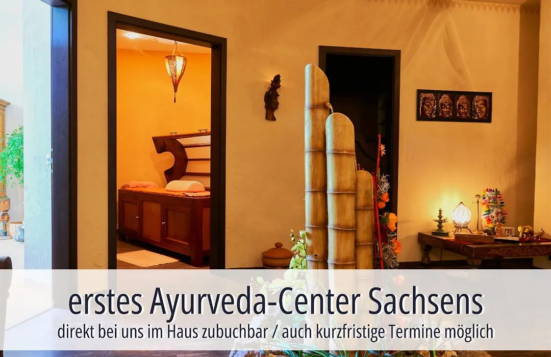 Hotel Am Kurhaus Mit Erstem Ayurveda Center Sachsens - Direkt Am Gesundheitsbad Actinon & Kurpark-1