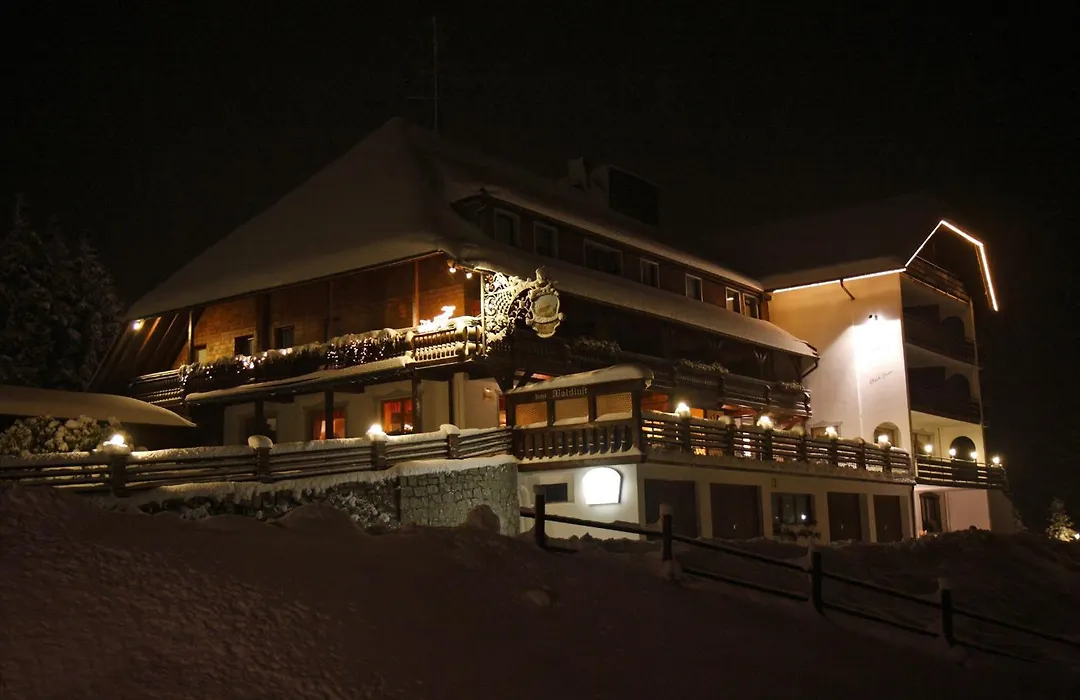 Parkhotel Waldlust-1