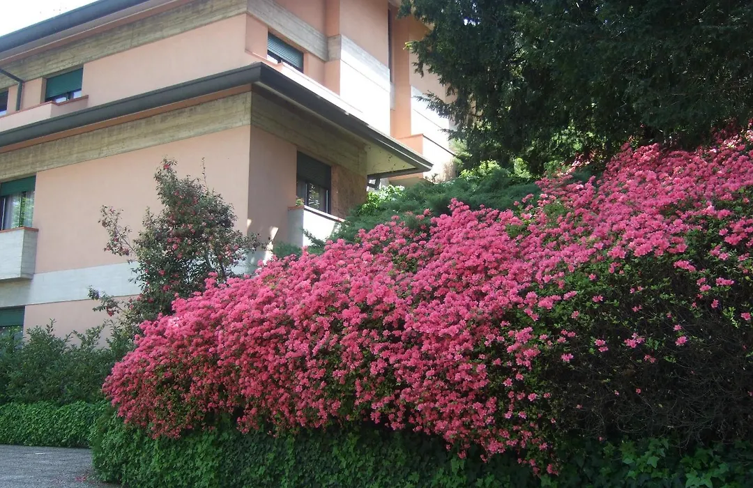 Hotel Canturio-1