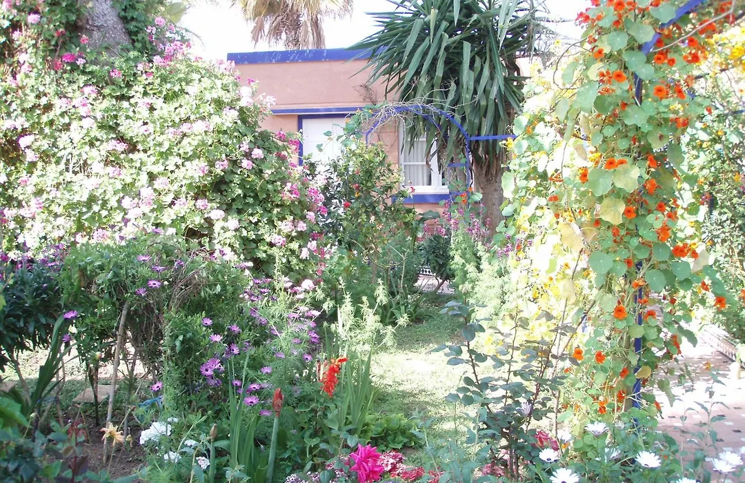 Hotel L'Hippocampe-1