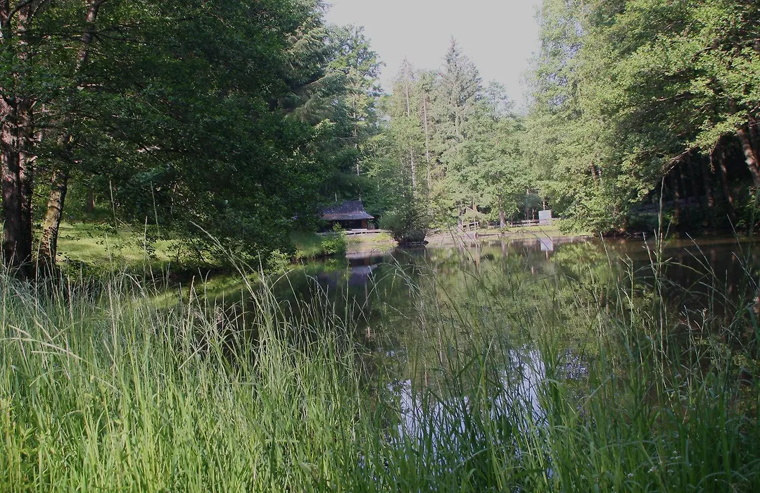 Zur Morschbach-1