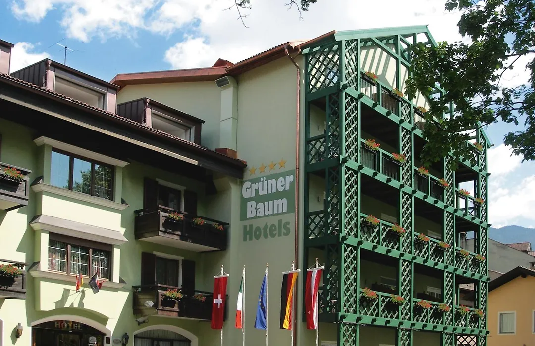 Hotel Grüner Baum-1