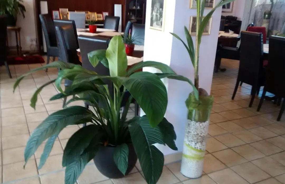 Hotel Attache-1