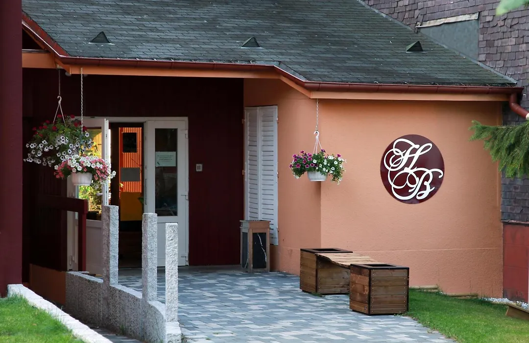 Logis Hotel Des Bains-1