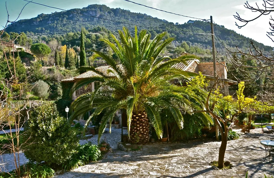 Sa Vall Valldemossa-1