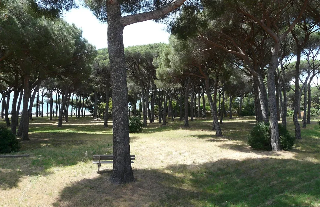 La Casa Mia-1
