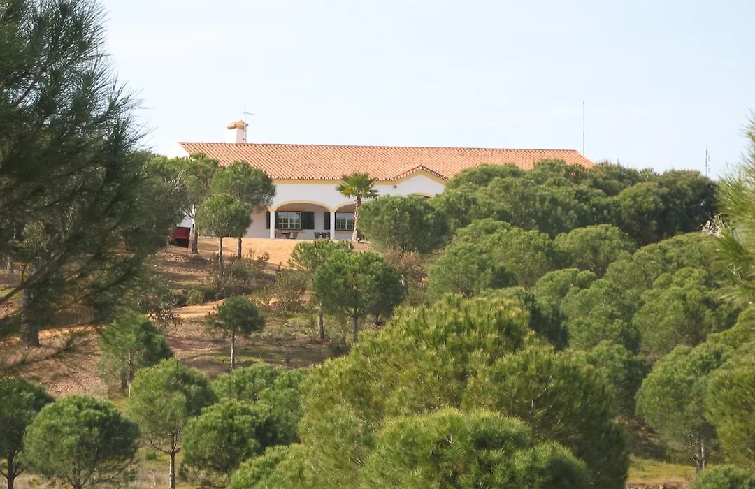 Herdade Do Rio Torto-1