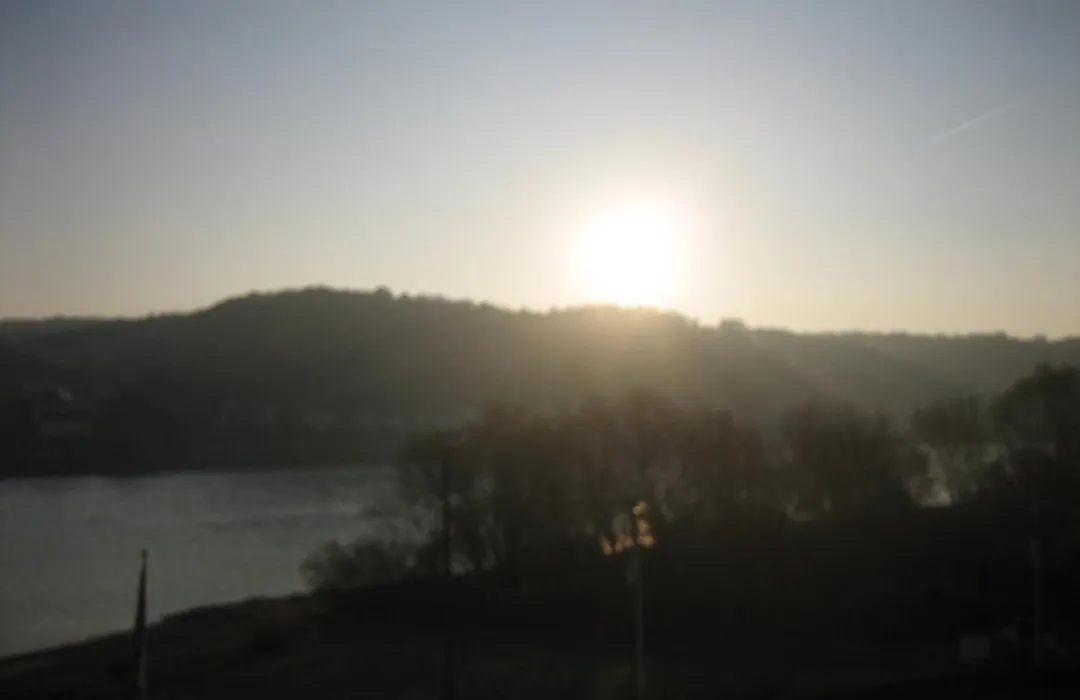RheinHotel ARTE-1