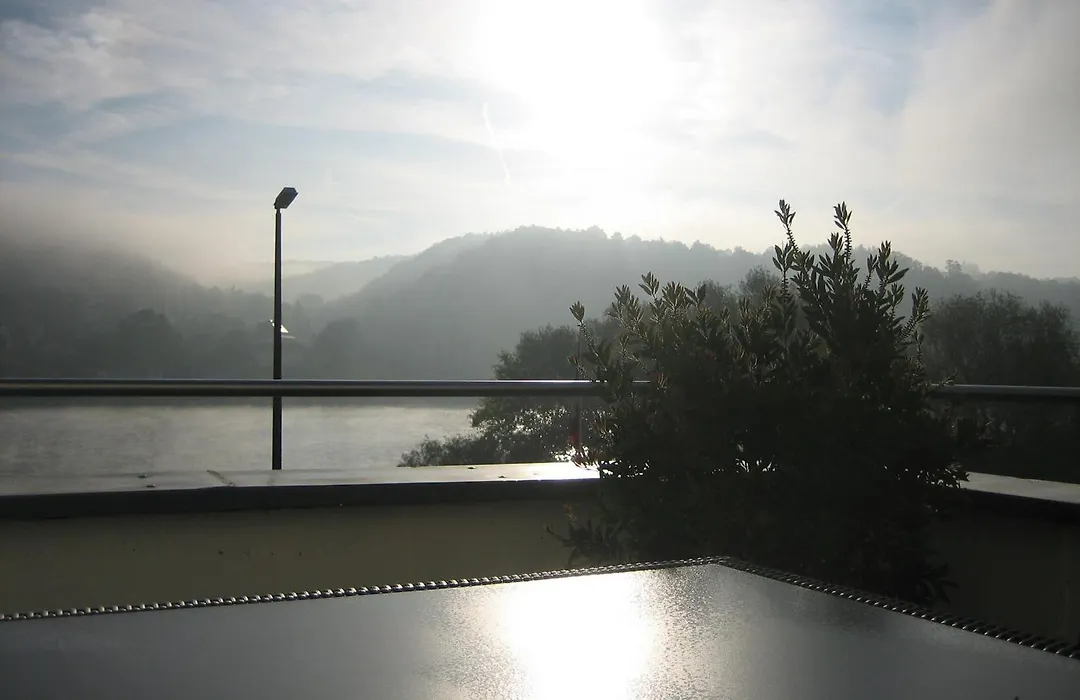 Rheinhotel Arte-1