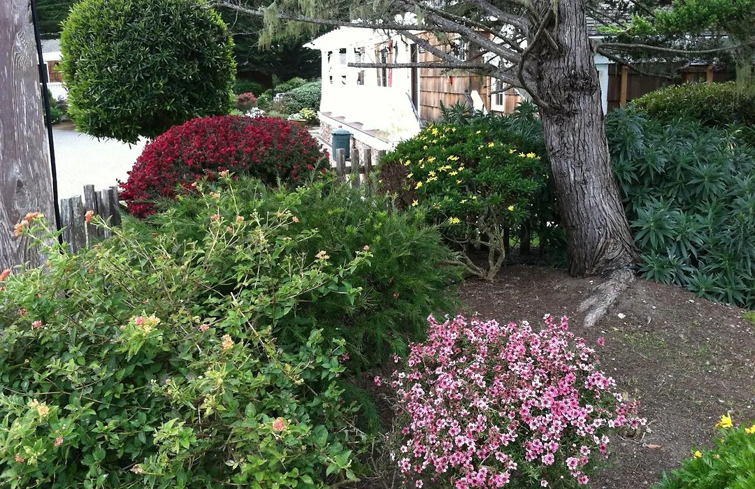 Lighthouse Lodge & Cottages-1
