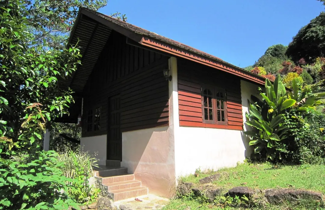 Phanom Bencha Mountain Resort-1