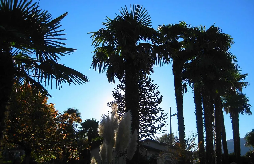 Villa Garni Gardenia-1
