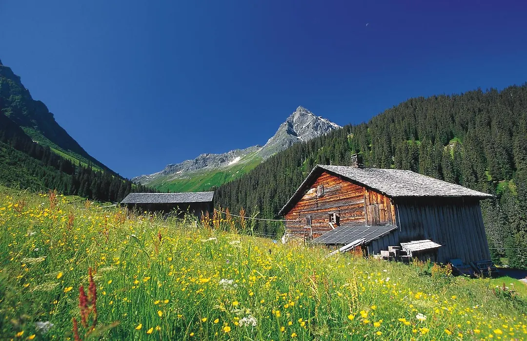T3 Alpenhotel Garfrescha-1