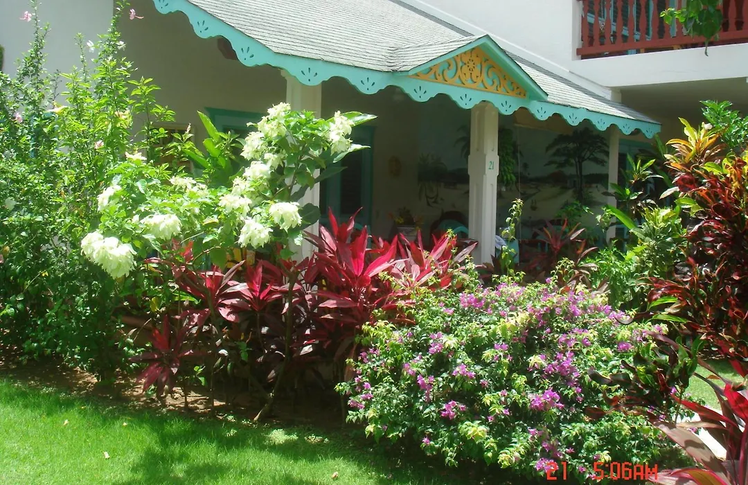 Hotel Playa Colibri-1