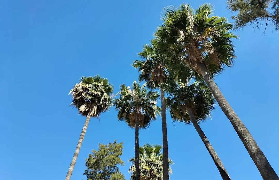 Vas Málaga Ciudad-1