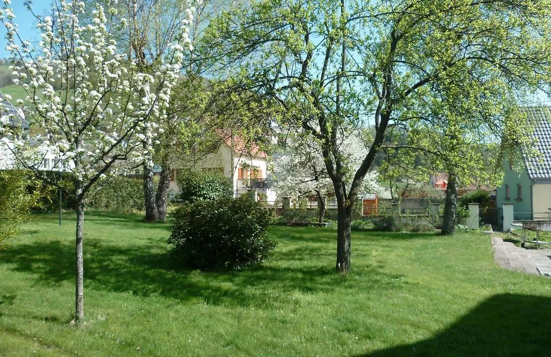 Le Kalblin-1