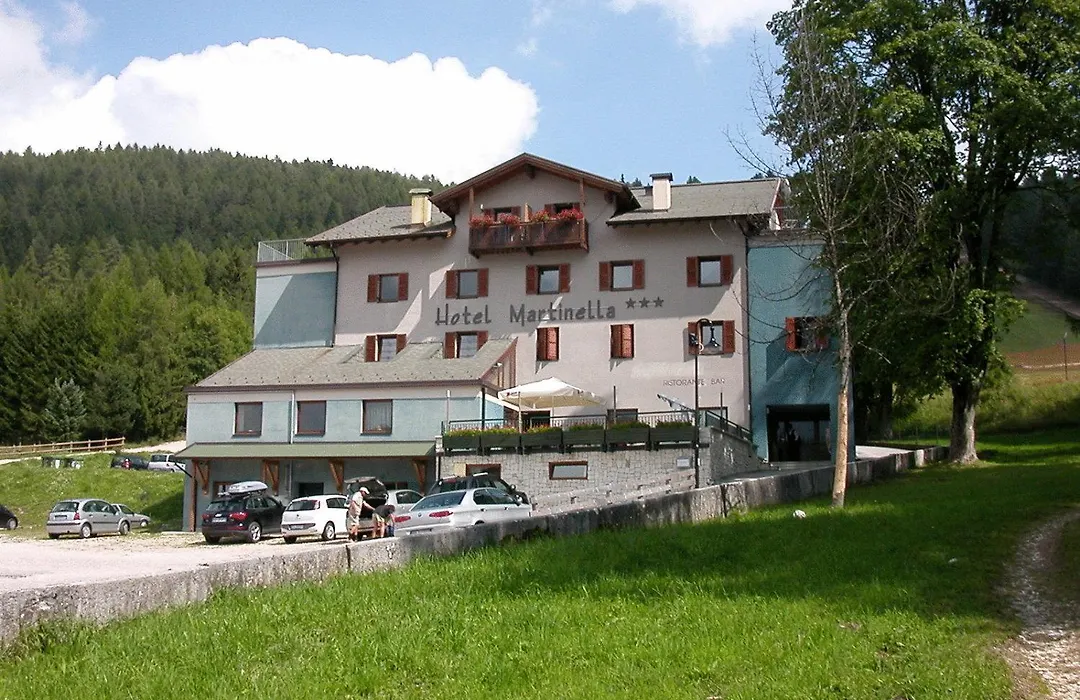 Hotel Martinella-1