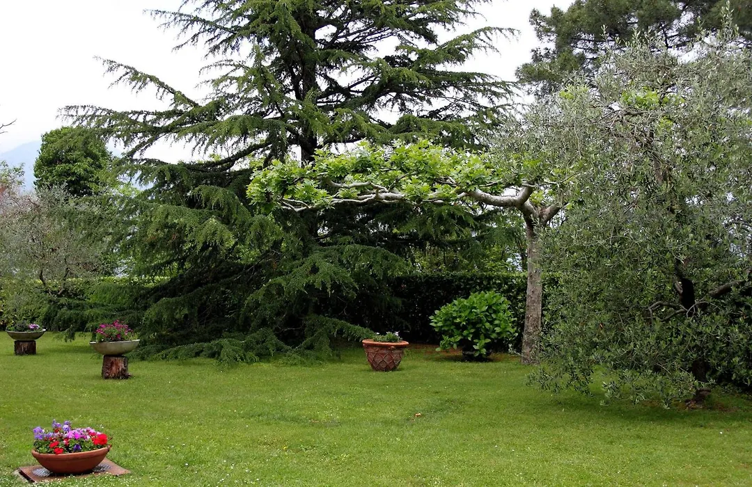 Hotel Il Buongustaio-1